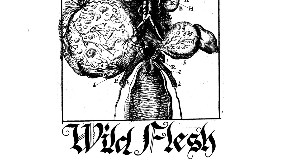 Cover art for Wild Flesh [session with the designer]